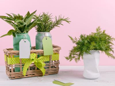 Upcycling Day